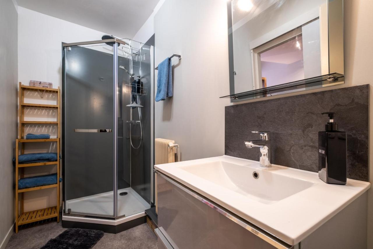 Appartement De Prestige - Rue Des Arts Tuluza Zewnętrze zdjęcie